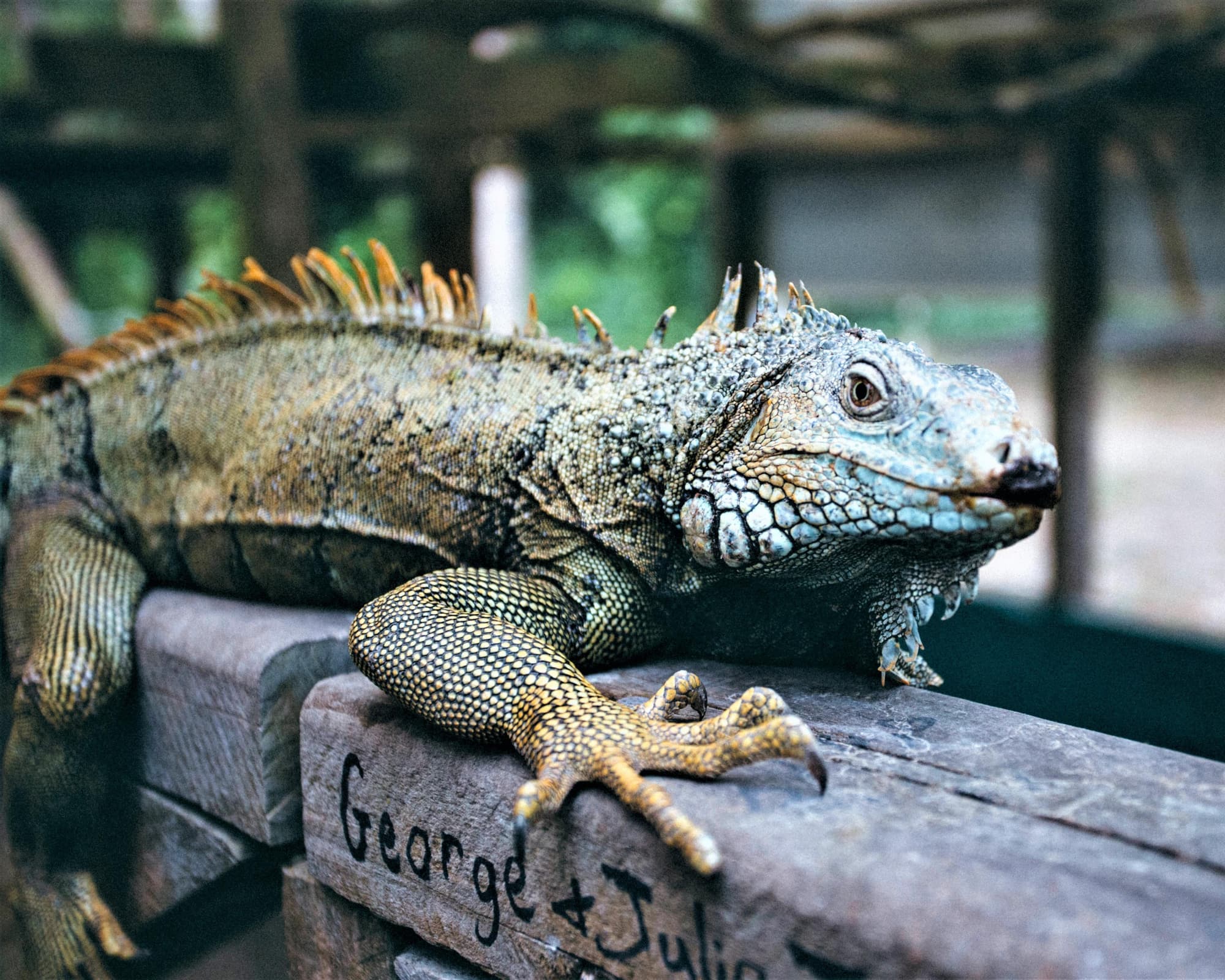 Rundreise "Die Welt der Mayas" (Riviera Maya bis Belize)