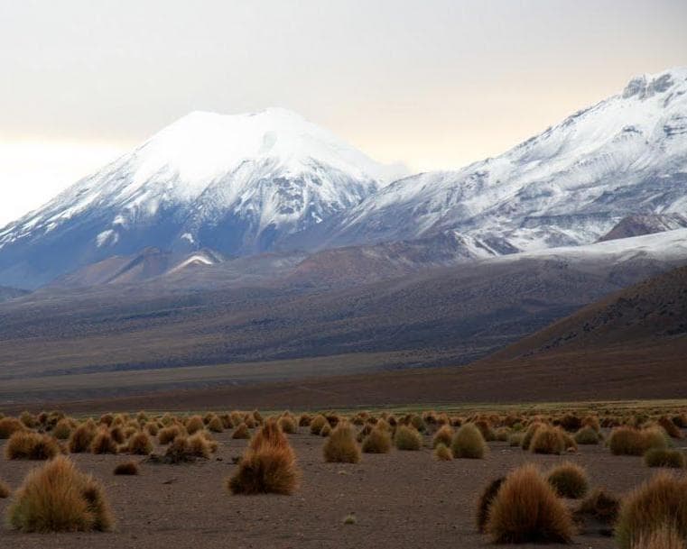 Feriado Semana Santa en Sajama, Paquete 2 días 1 noche