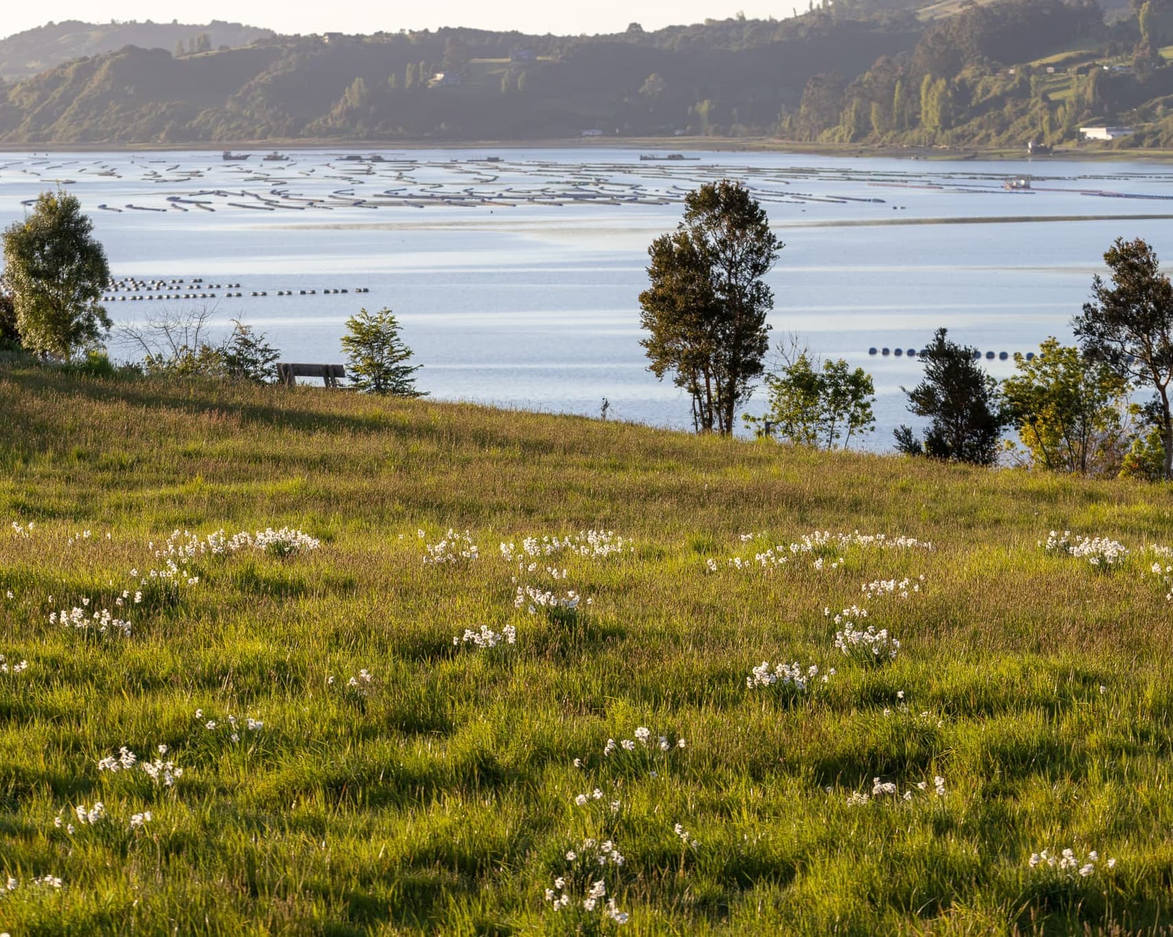 Black - Bloqueo Chiloé 05 Noches Vía SKY - Hotel de Castro