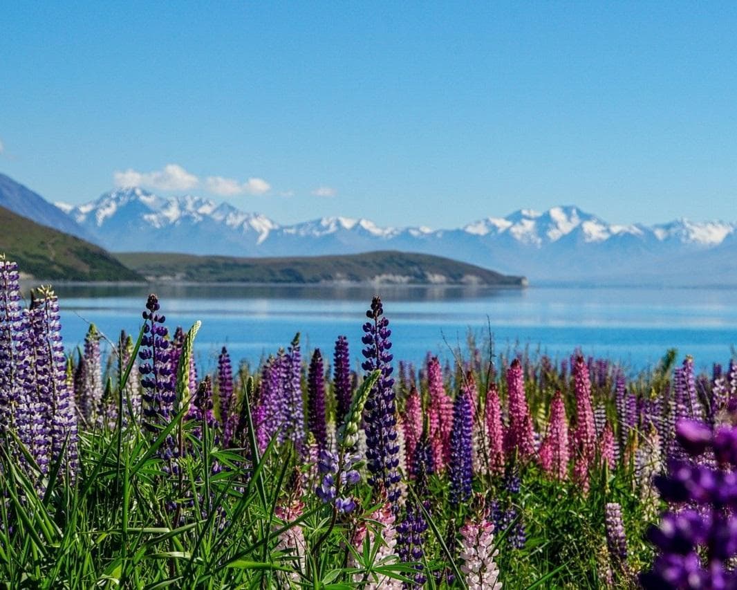 Neuseeland - Höhepunkte der Südinsel Rundreise
