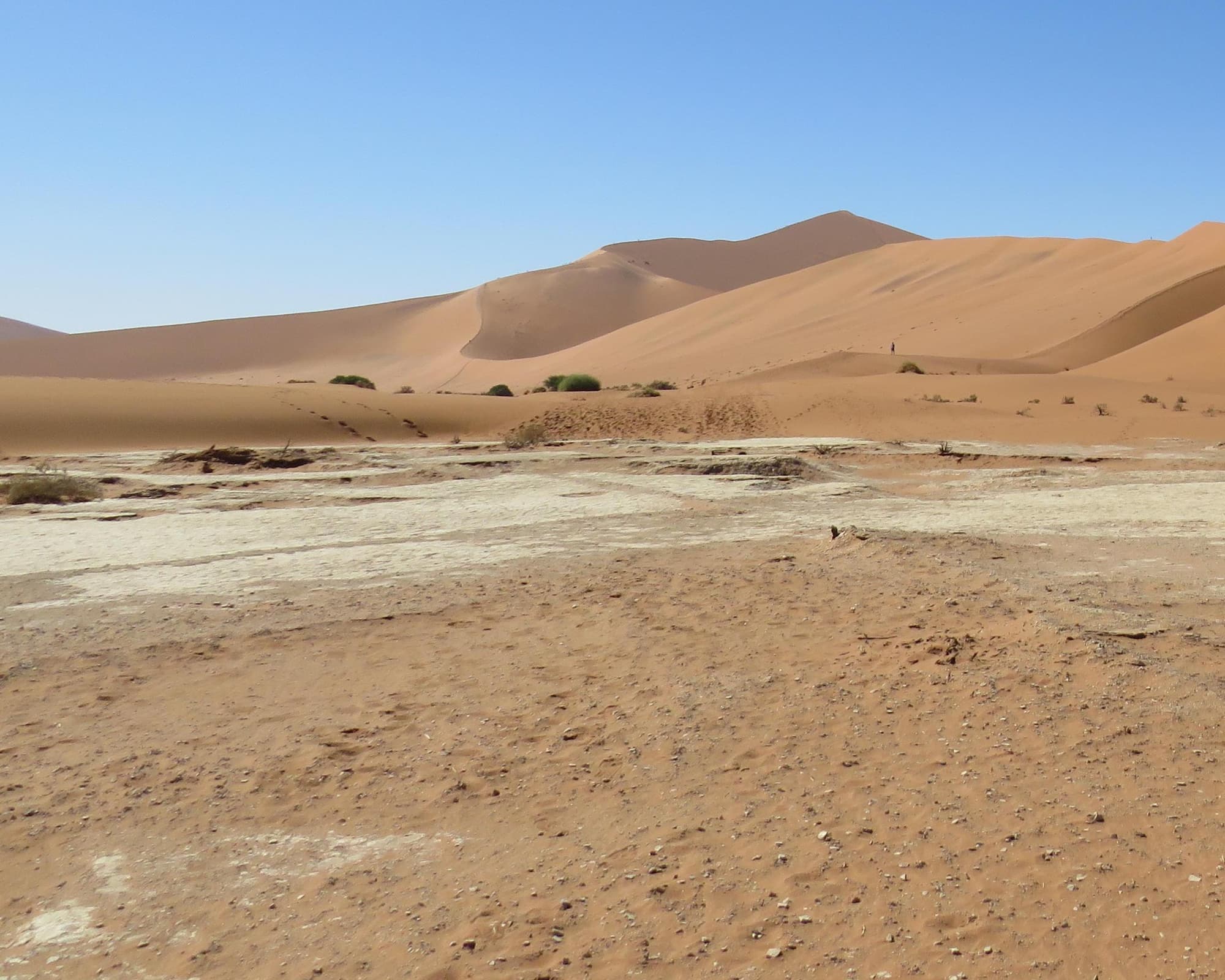 Camping Safari "Kapstadt nach Swakopmund"
