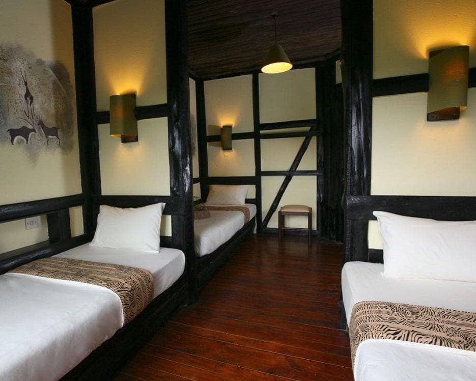 Safari "Savanne & Regenwald"