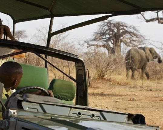 Safari "Ruaha Nationalpark" (ab/bis Dar es Salaam)