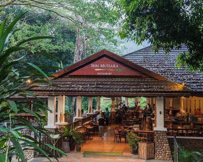 Kurztour "4 Tage Taman Negara"