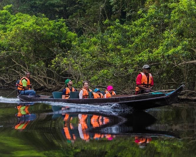 Kurztour "3 Tage Taman Negara"