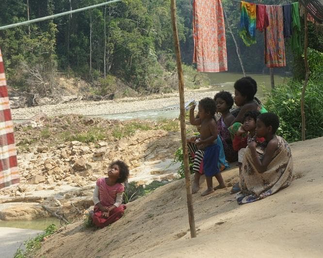 Kurztour "4 Tage Taman Negara"