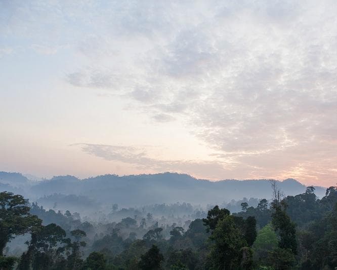 Kurztour "3 Tage Taman Negara"