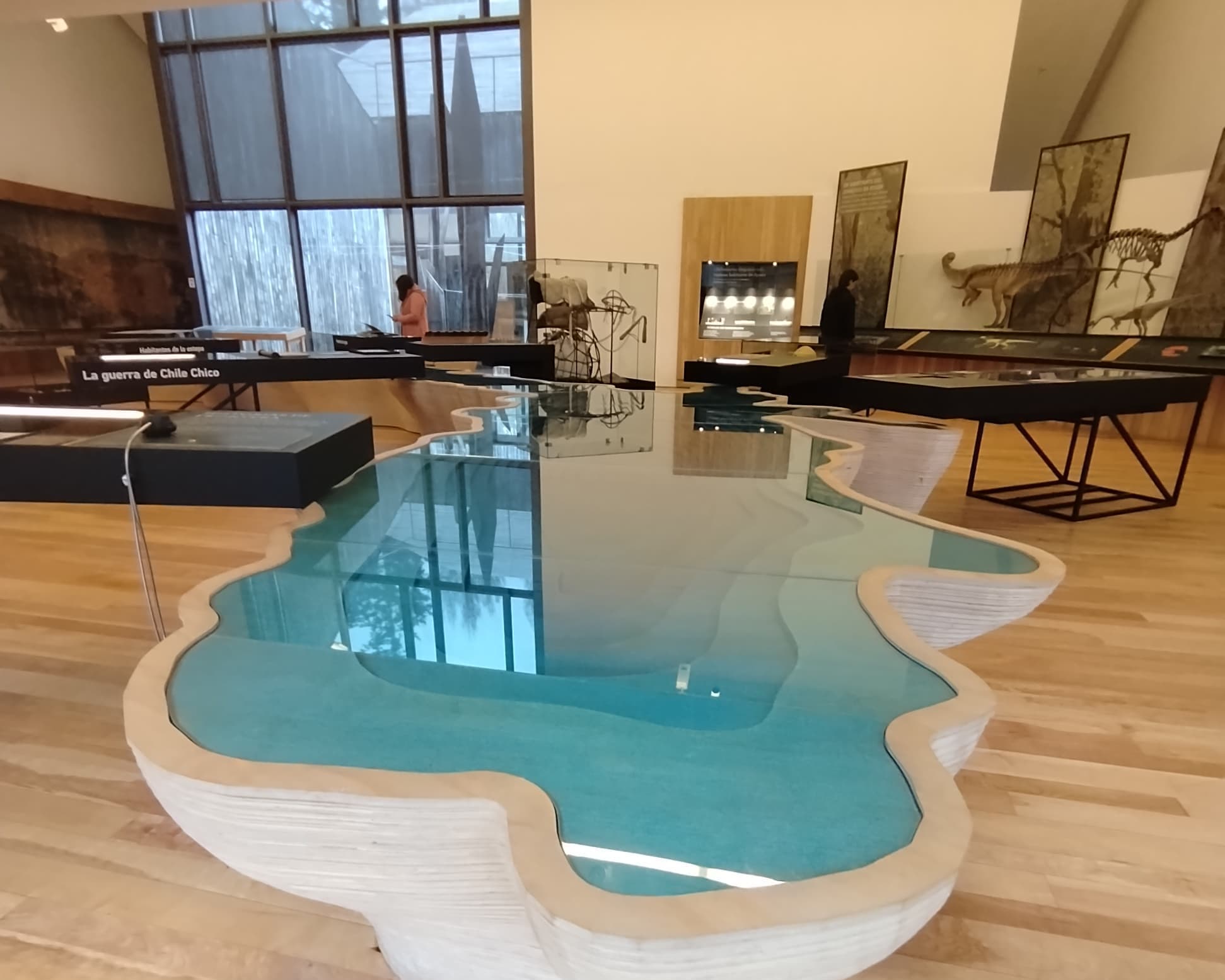 Bloqueo Carretera Austral Sur - 7 Noches Vía SKY