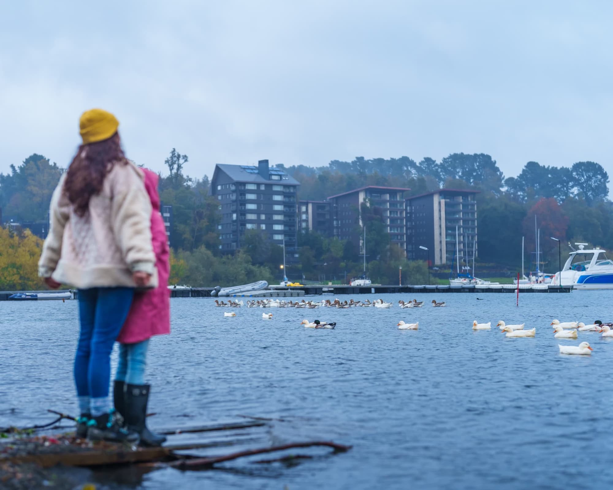 Bloqueo Pucón Termal Vía SKY - Hotel Vientos del Sur