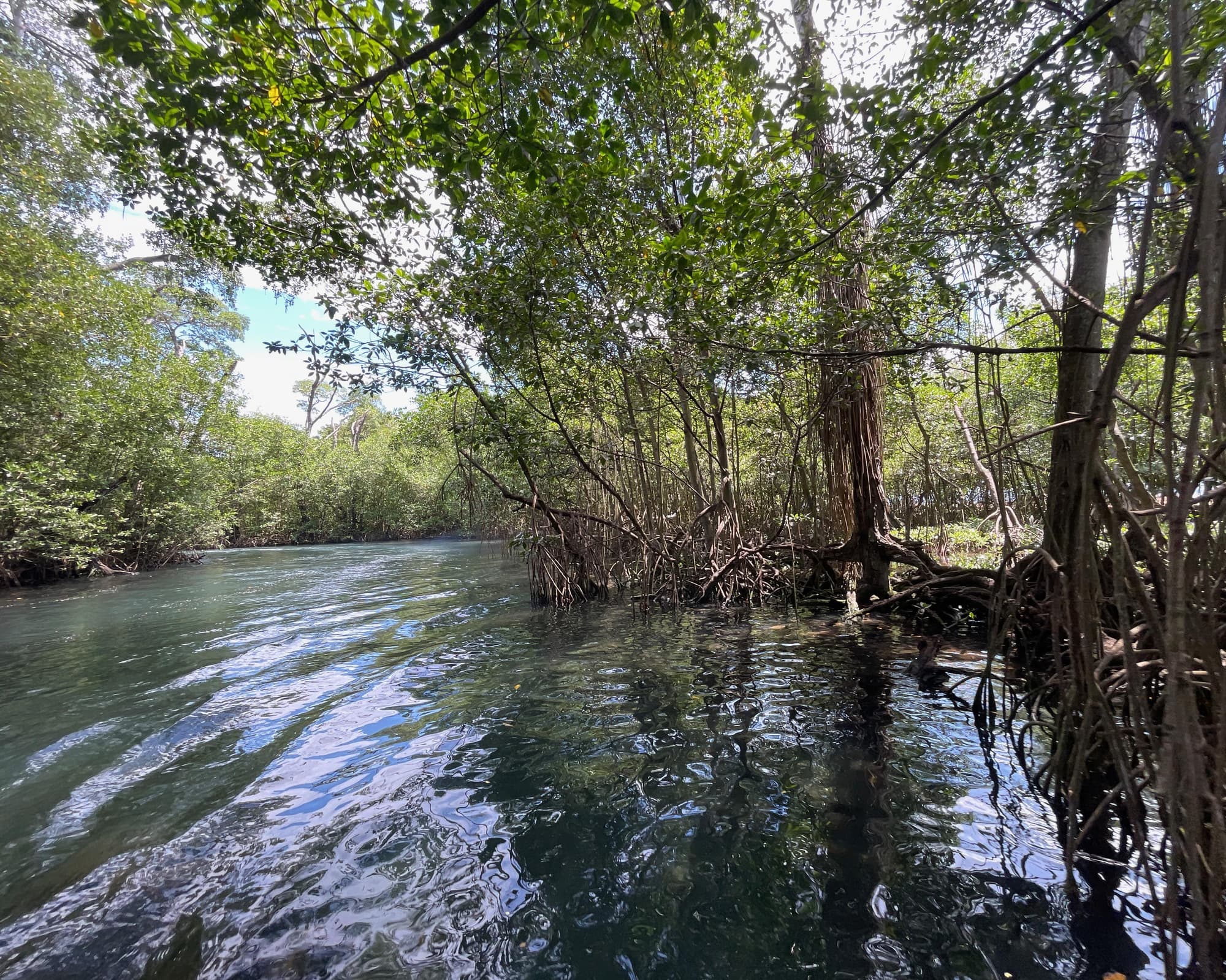 Privatrundreise "Abenteuer-Expedition Nordküste"