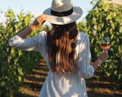 Alojamento Grátis no ALGARVE