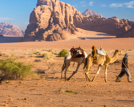 MTPE-20030 MARAVILLAS DE JORDANIA - 5DÍAS