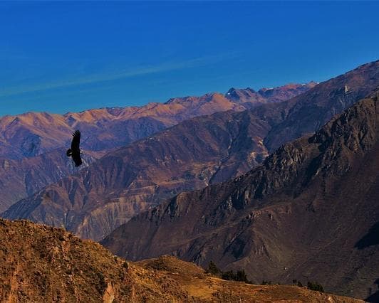 Rundreise "Peru Pur"