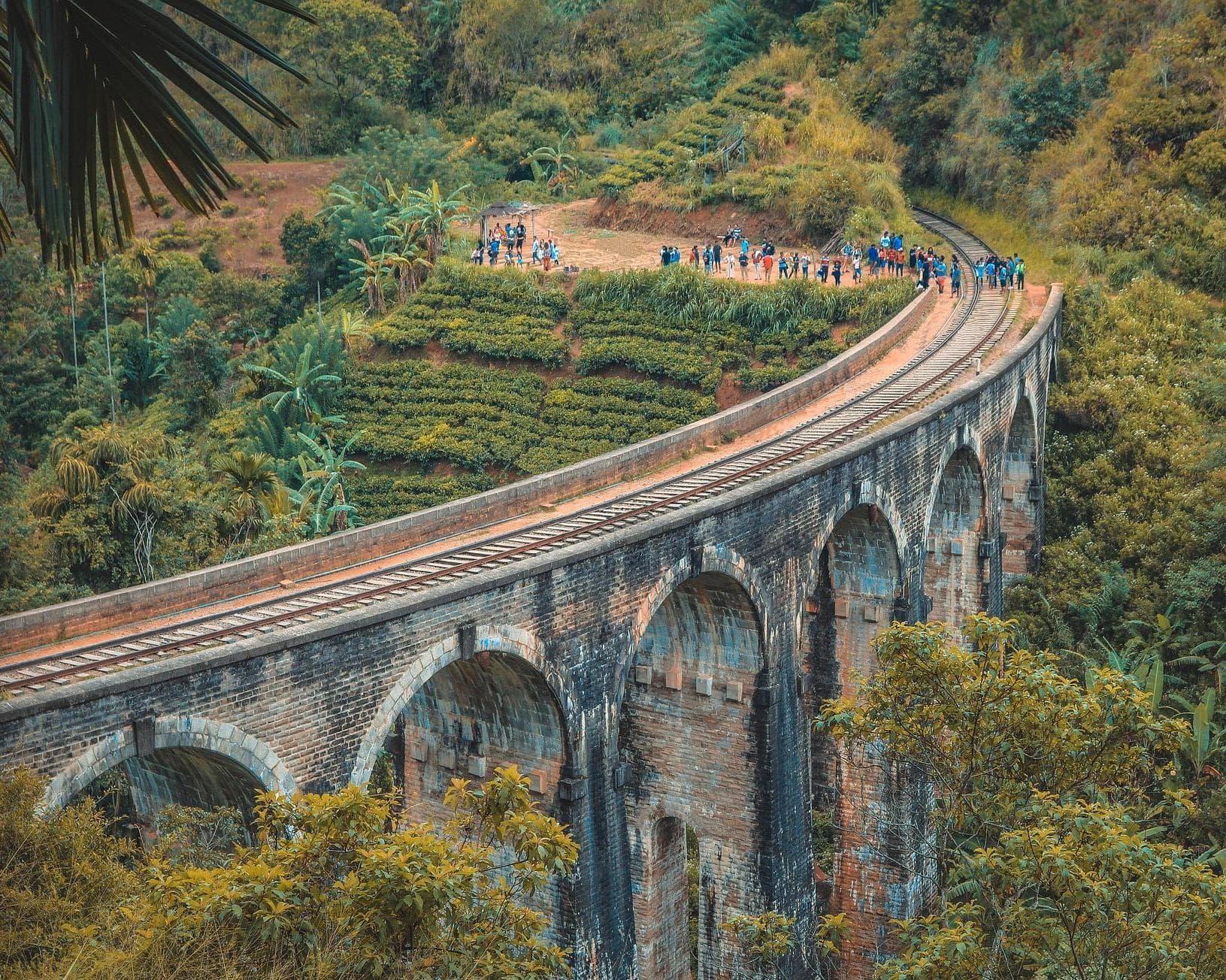 Privatrundreise "Einmaliges Sri Lanka" (ab Colombo bis Beruwela)