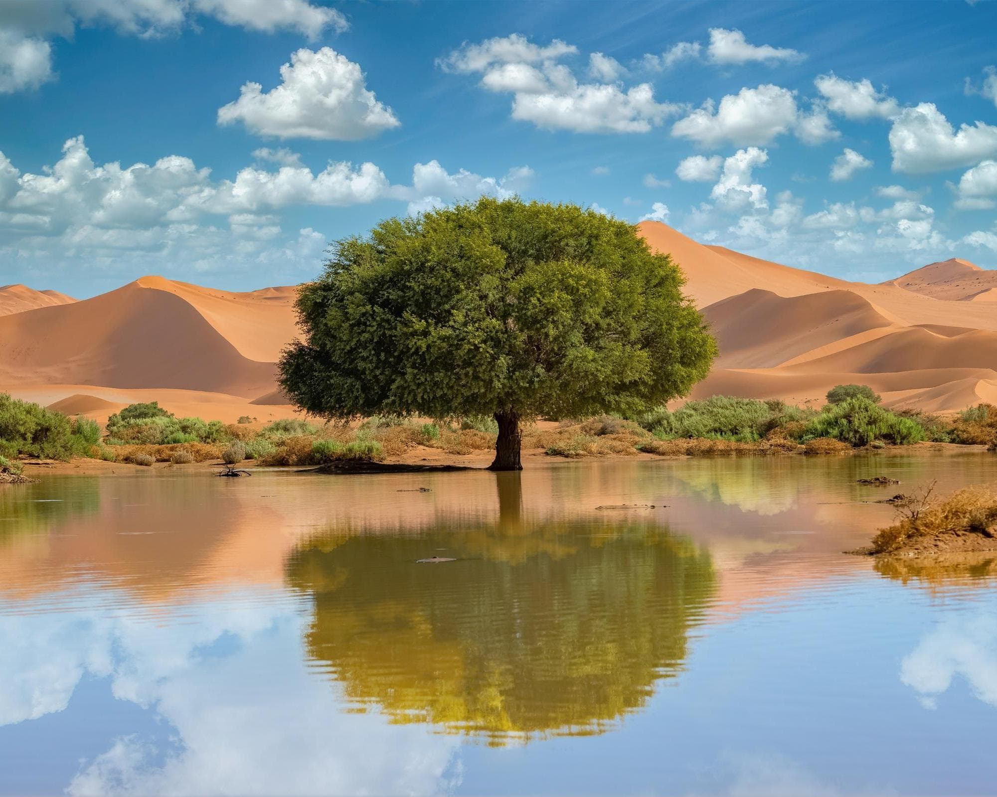 Encantos da Namíbia