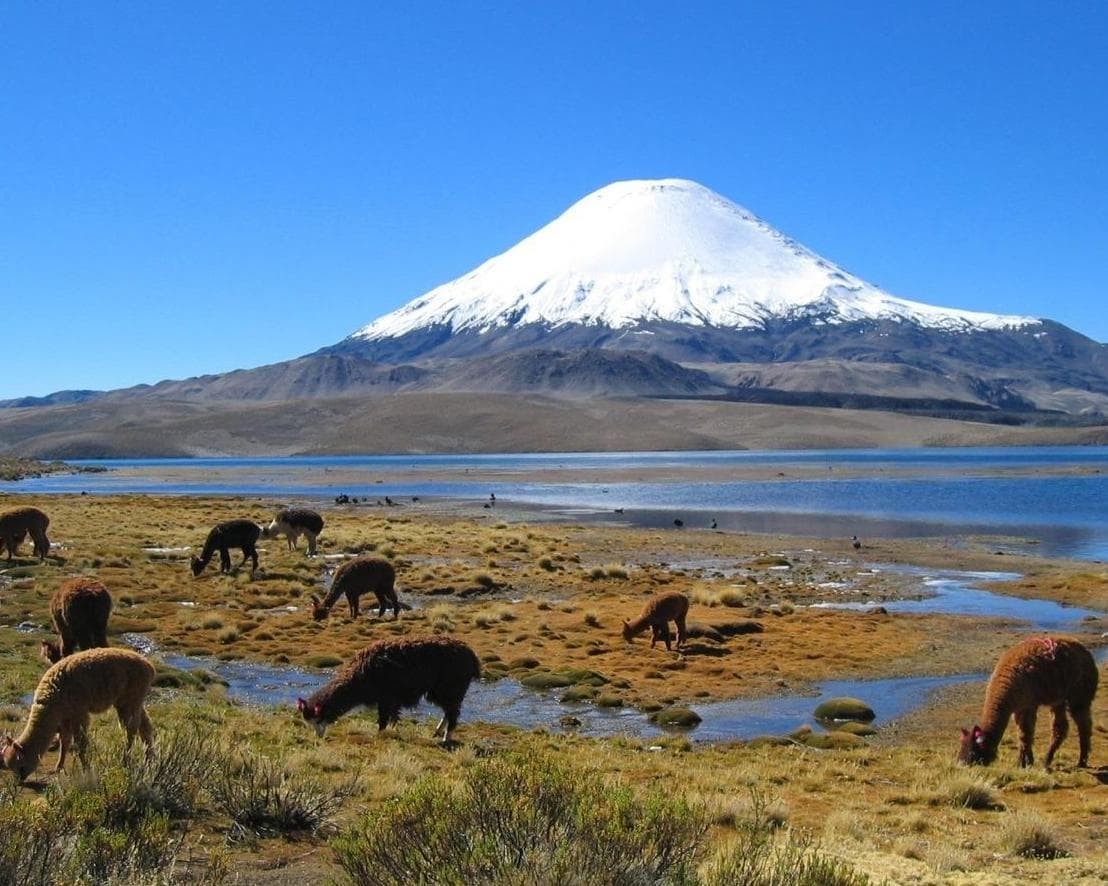 Feriado Semana Santa en Sajama, Paquete 2 días 1 noche