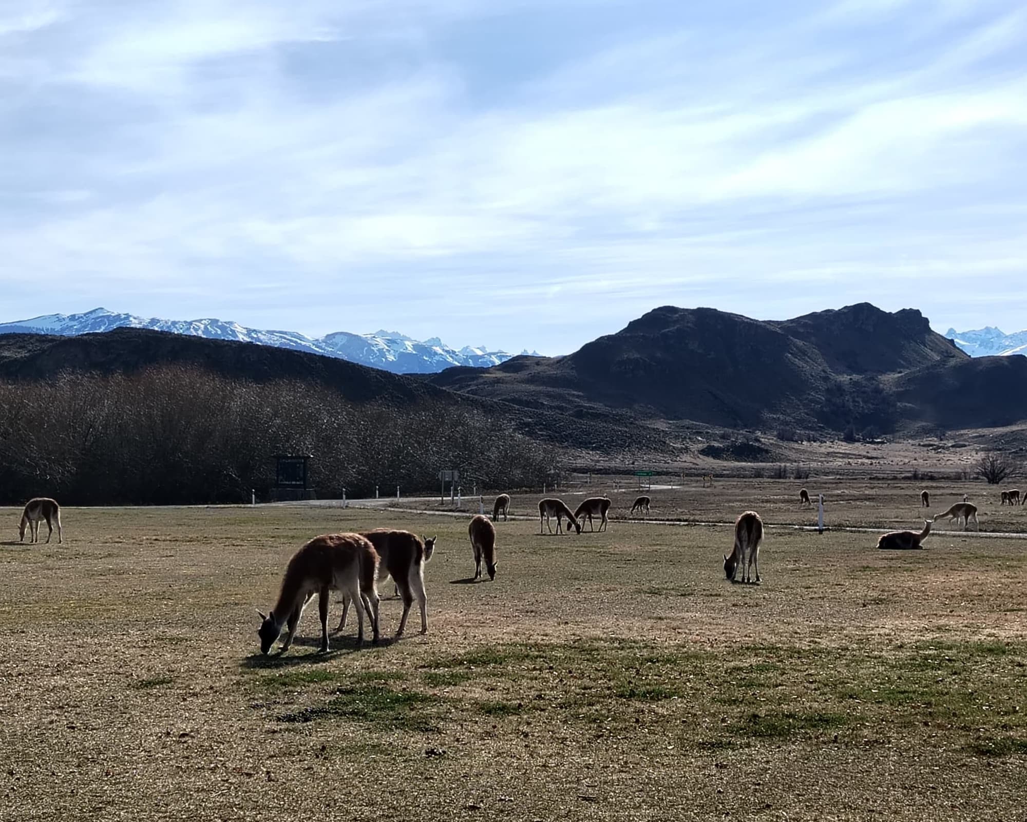 Bloqueo Carretera Austral Sur - 7 Noches Vía SKY