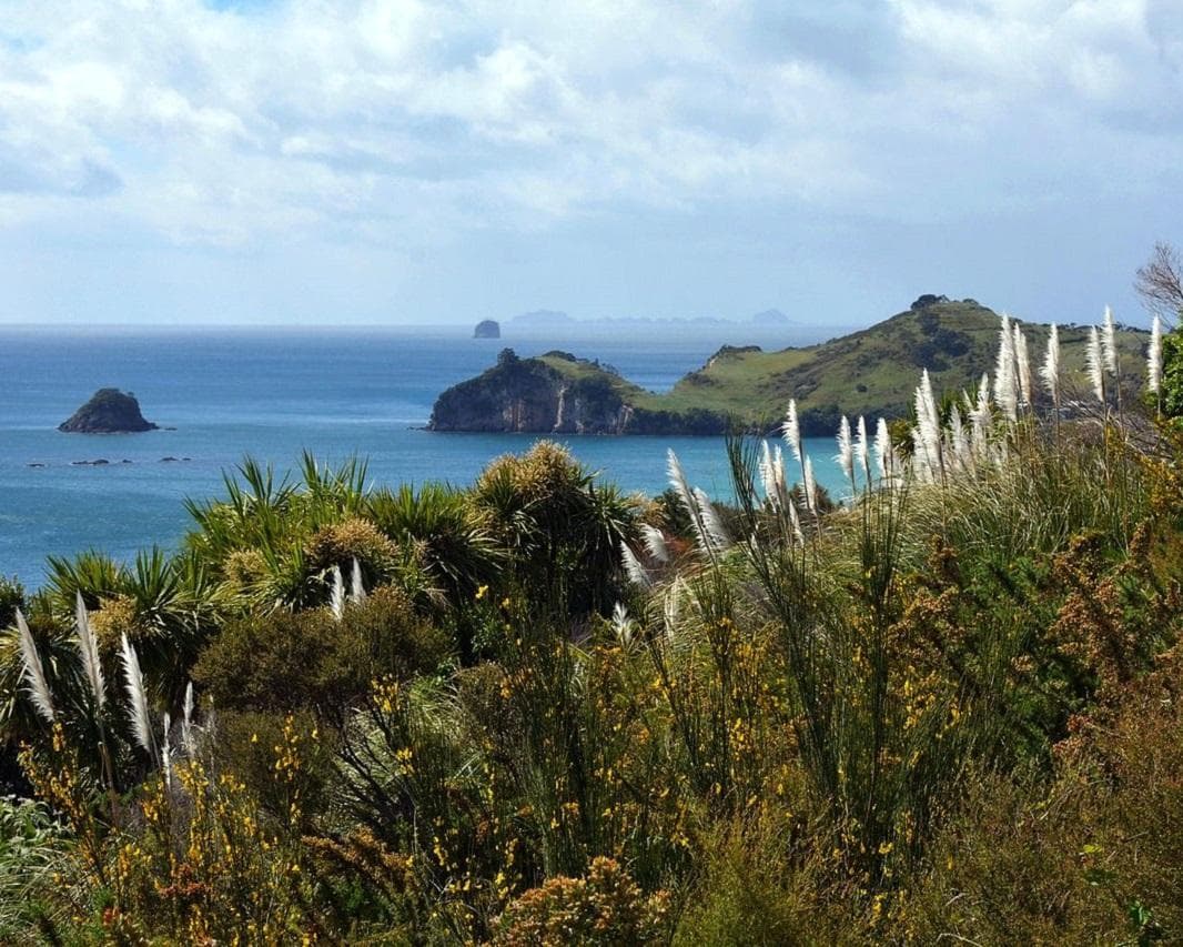 Neuseeland - Höhepunkte der Nordinsel Rundreise