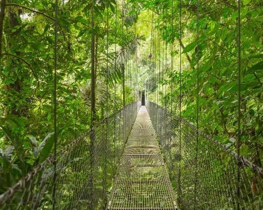 Pura Vida Exclusivo TUI