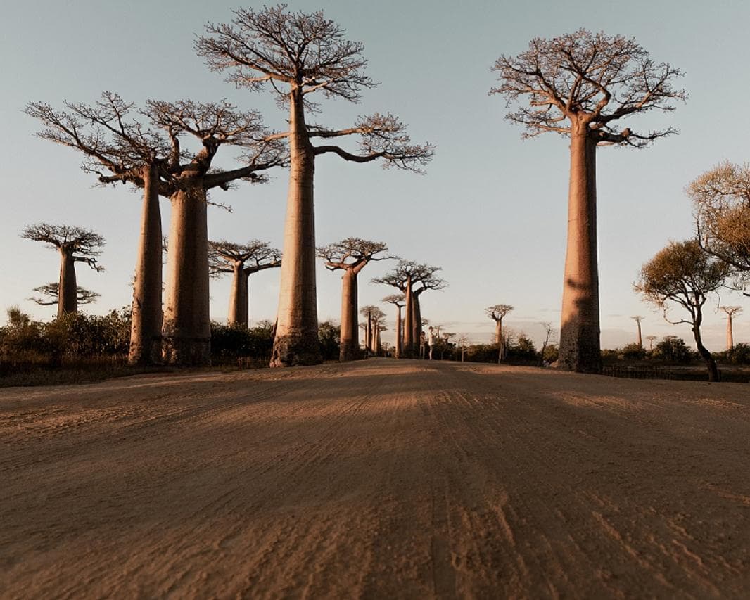 Madagaskars Süden Privatrundreise