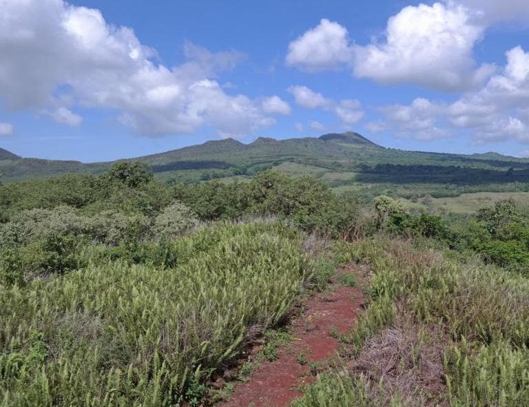 Rundreise "Galapagos Island Hopping"