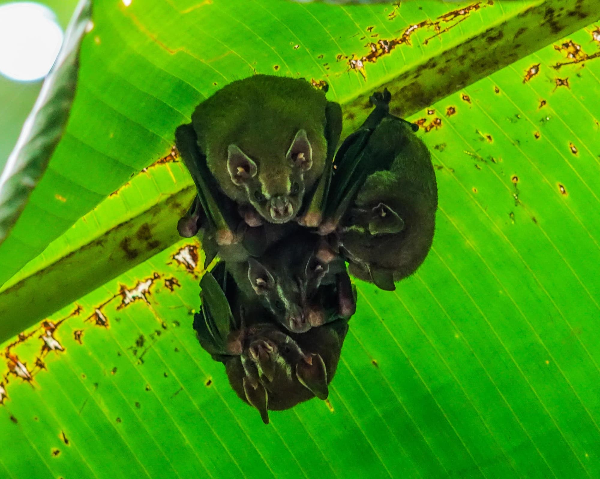 Costa Rica & Nicaragua Rundreise