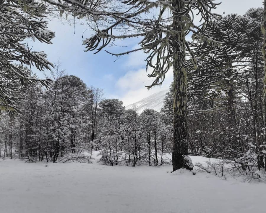 Bloqueo Pucón Termal Vía SKY - Hotel Vientos del Sur