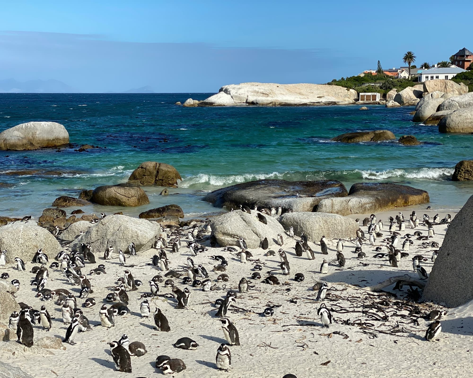 Capodanno in Sudafrica