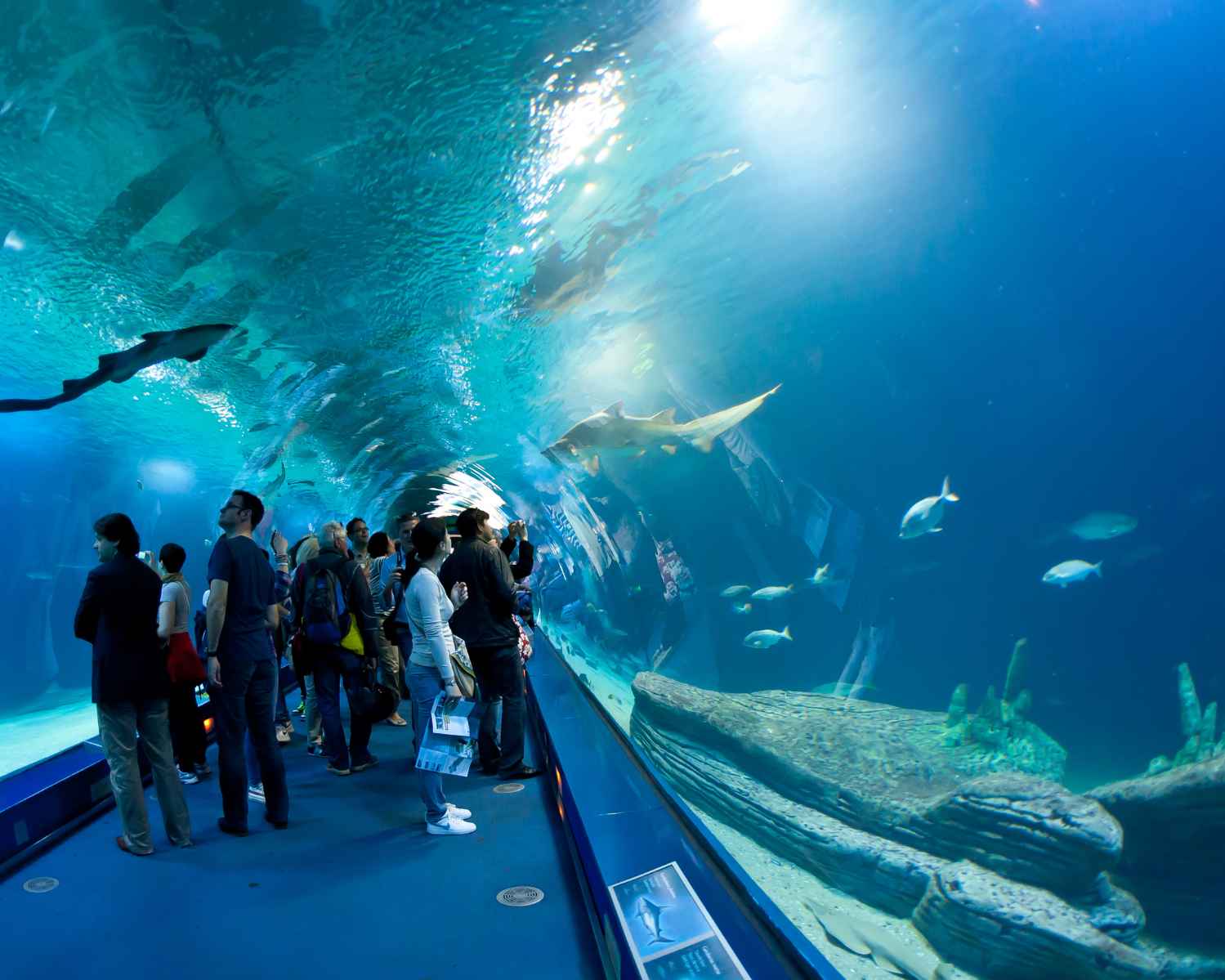 4 days in Valencia: weekend City & Sea