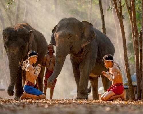 Circuito Tailândia - Março 25