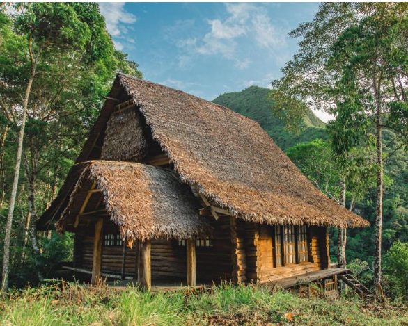 Paquete 3 días 2 noches en Atarisi Lodge