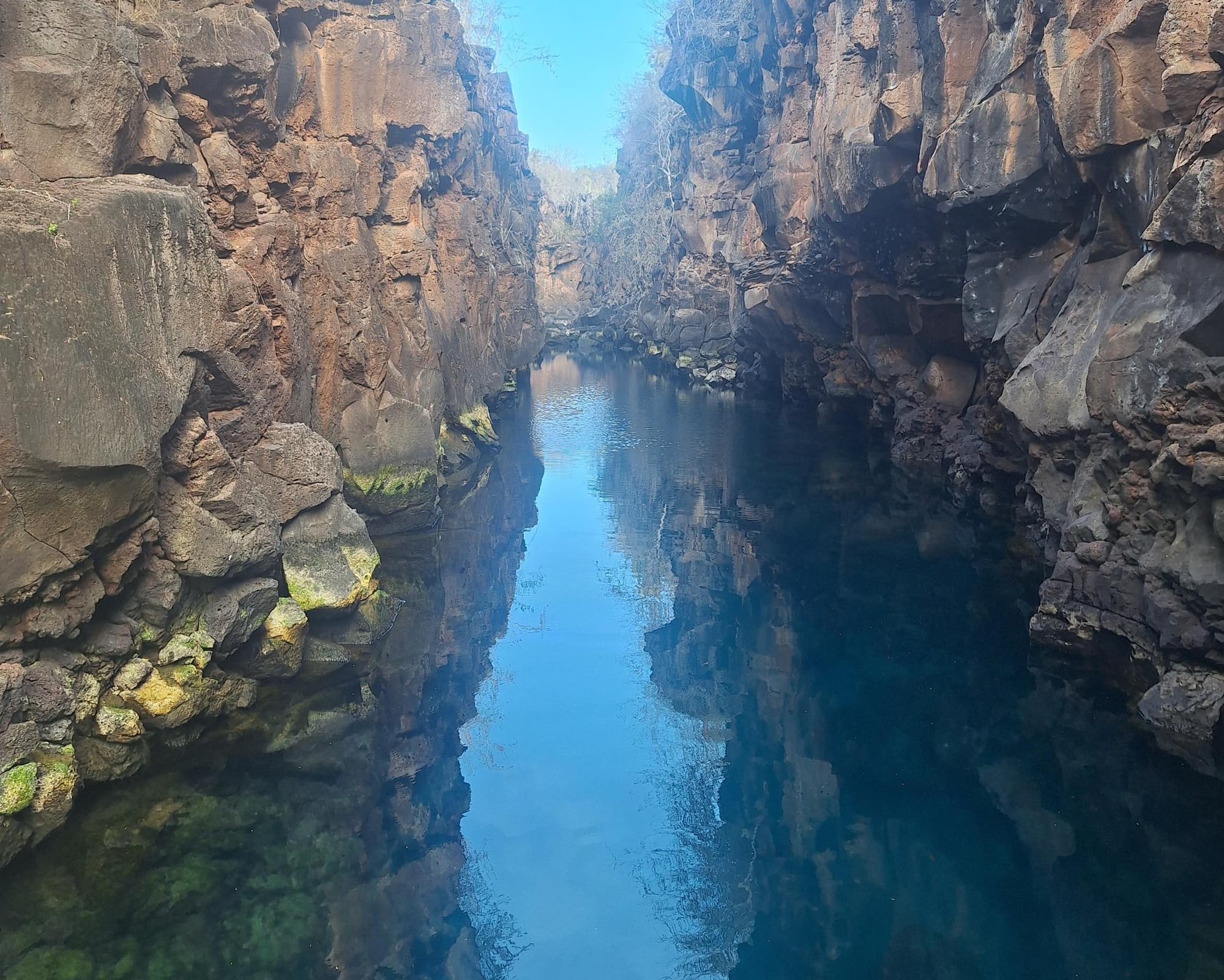 Quito and Galapagos 8 days