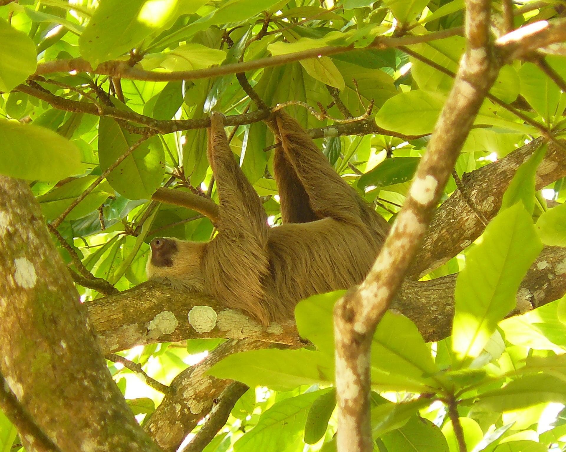 Costa Rica & Nicaragua Rundreise