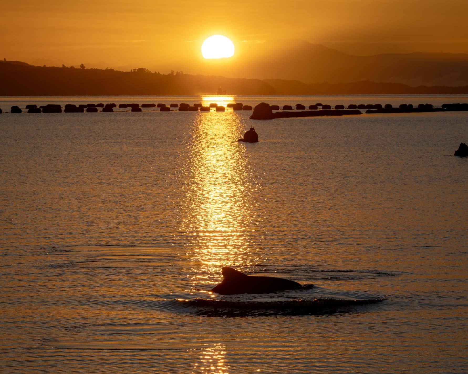 Black - Bloqueo Chiloé 05 Noches Vía SKY - Hotel de Castro