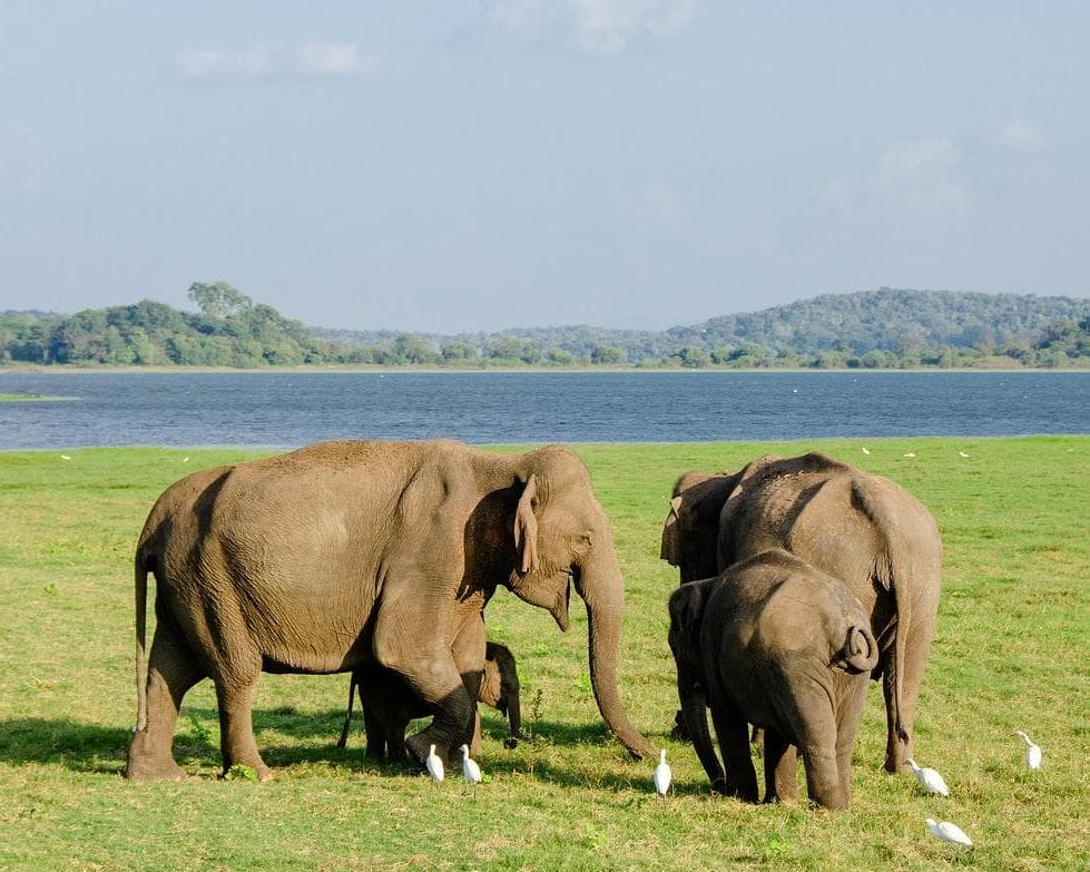 Private Kurztour "Die Höhepunkte im Kulturdreieck"