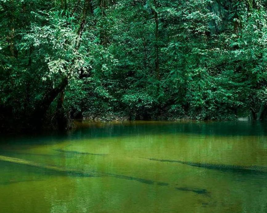 Kurztour "Mulu Nationalpark"