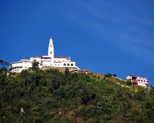 Descubre Colombia: Café, historia y naturaleza en un solo viaje