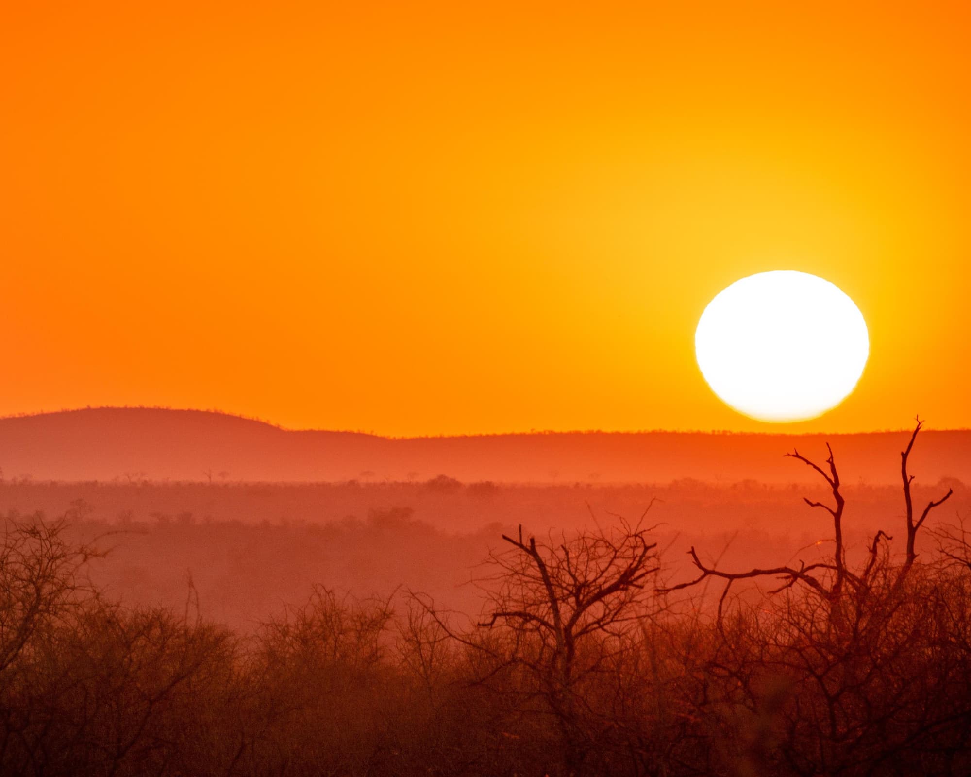 Safari "Entdeckung der Wildnis"