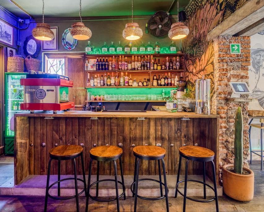 SELINA COLIVE FLEX - LATINOAMERICA