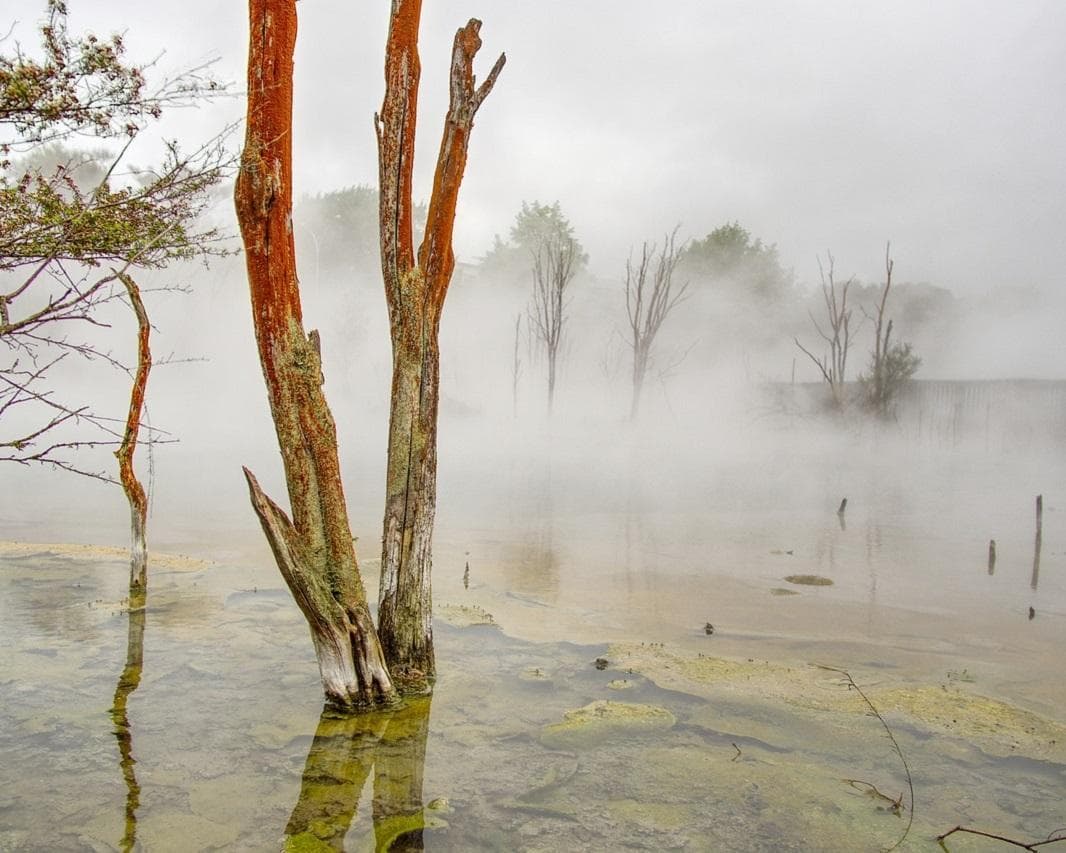 Neuseeland - Höhepunkte der Nordinsel Rundreise