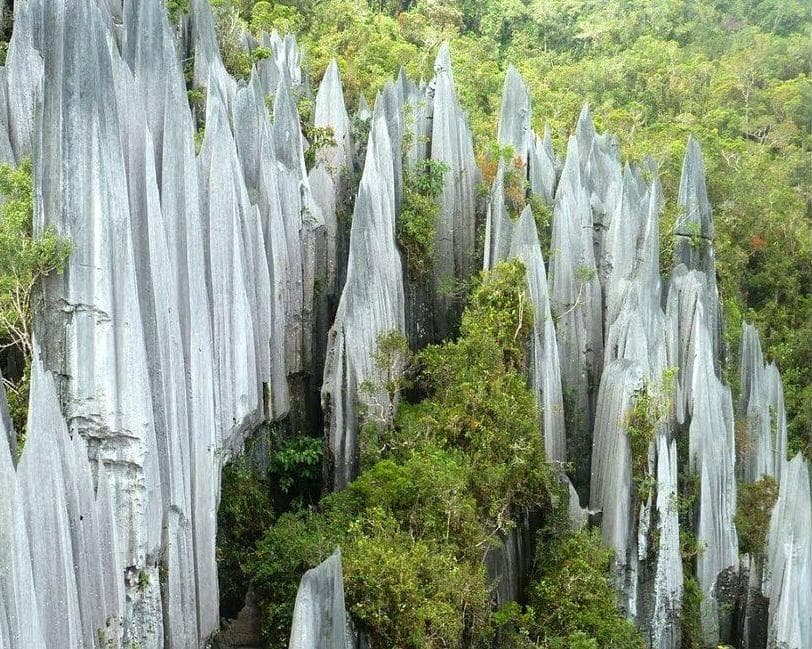 Kurztour "Mulu Nationalpark"