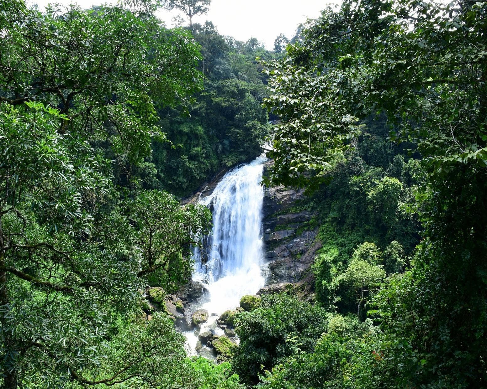 Private Kurztour "Kerala kompakt – Zwischen Teegenuss und Tradition"