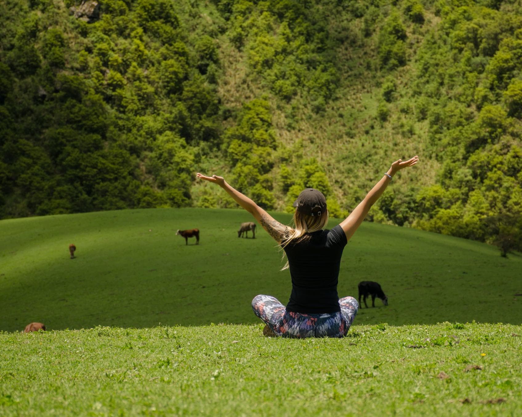 Programa Catamarca: Valle Central y Fiambalá