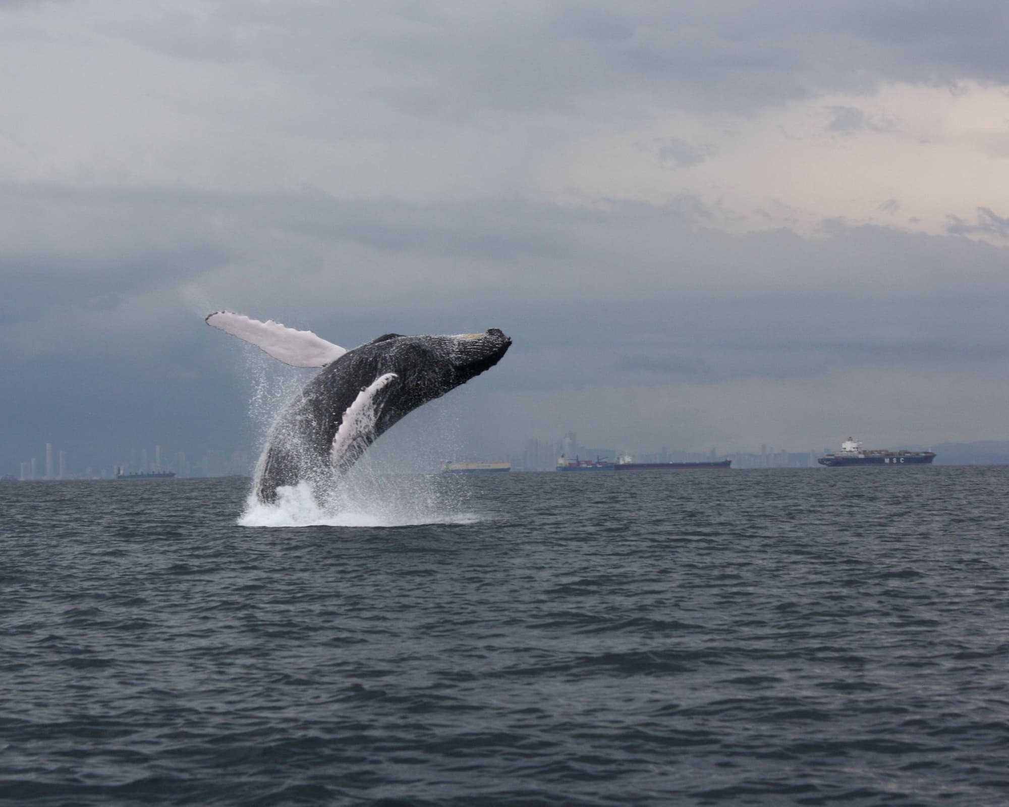 Badepaket "Perleninsel Sonny Island" (3 Nächte)