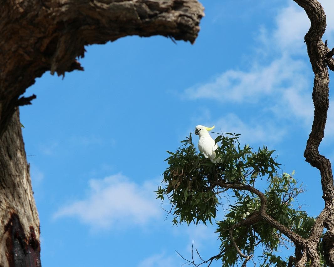 Red Centre Highlights Rundreise