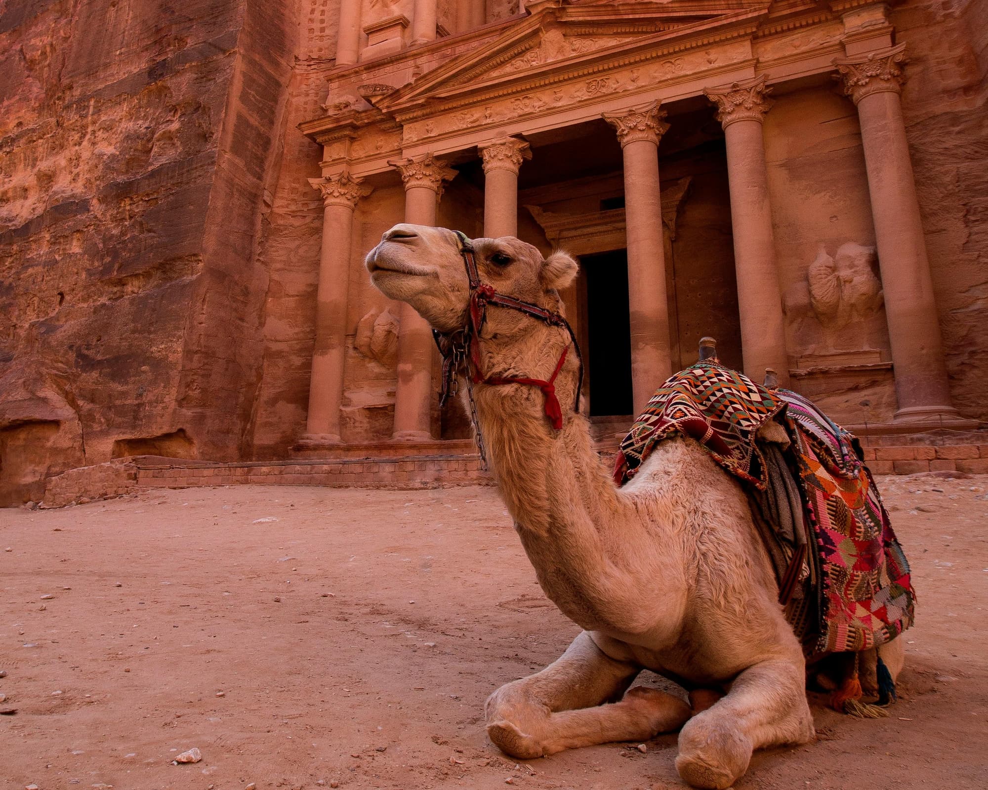 Kurztour "Tote Meer und Petra erleben"