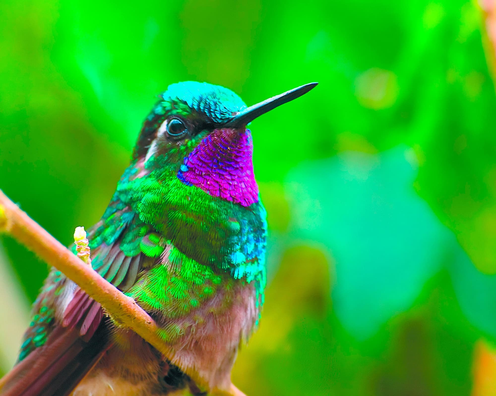 Costa Rica & Nicaragua Rundreise