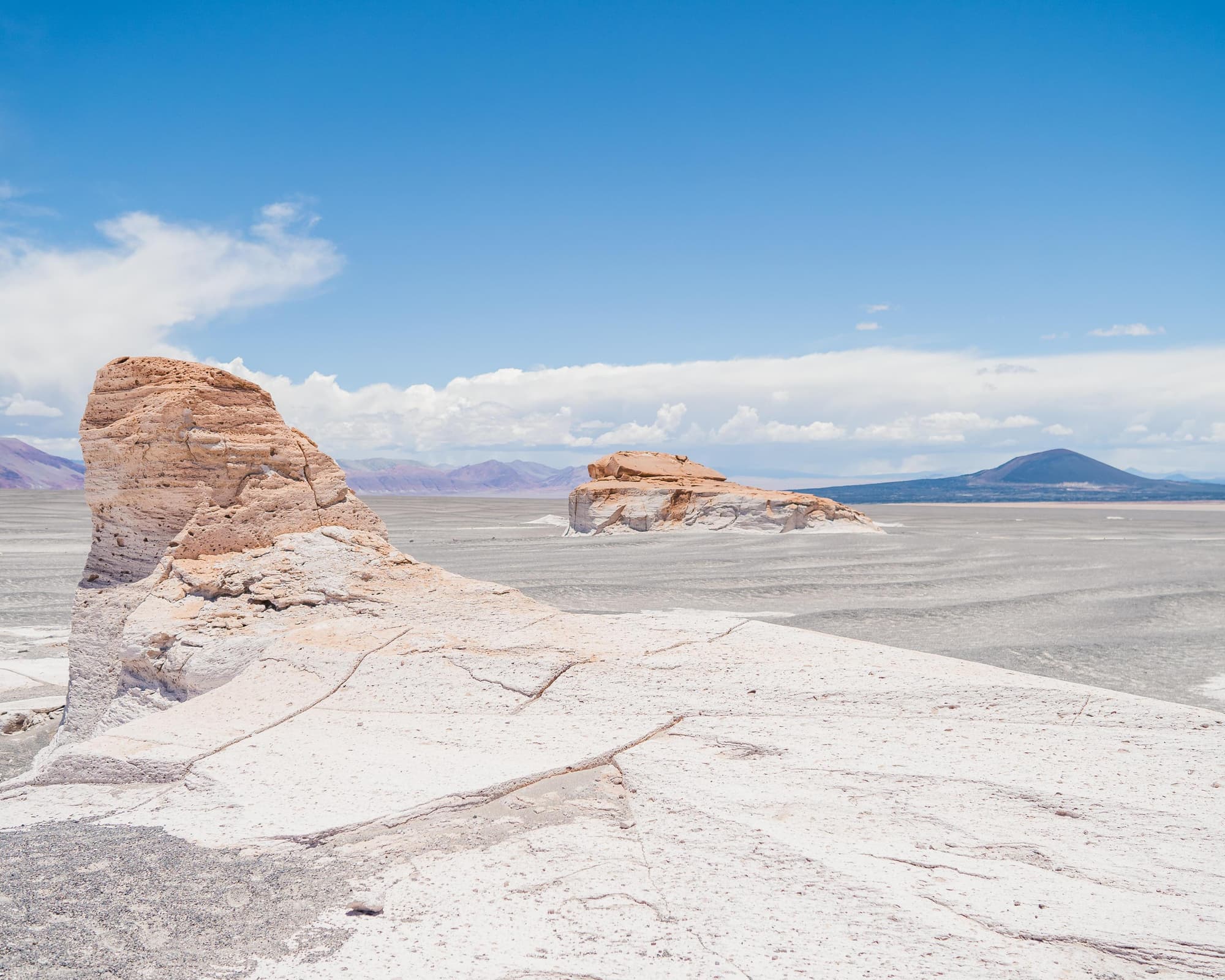 Programa Catamarca: Puna
