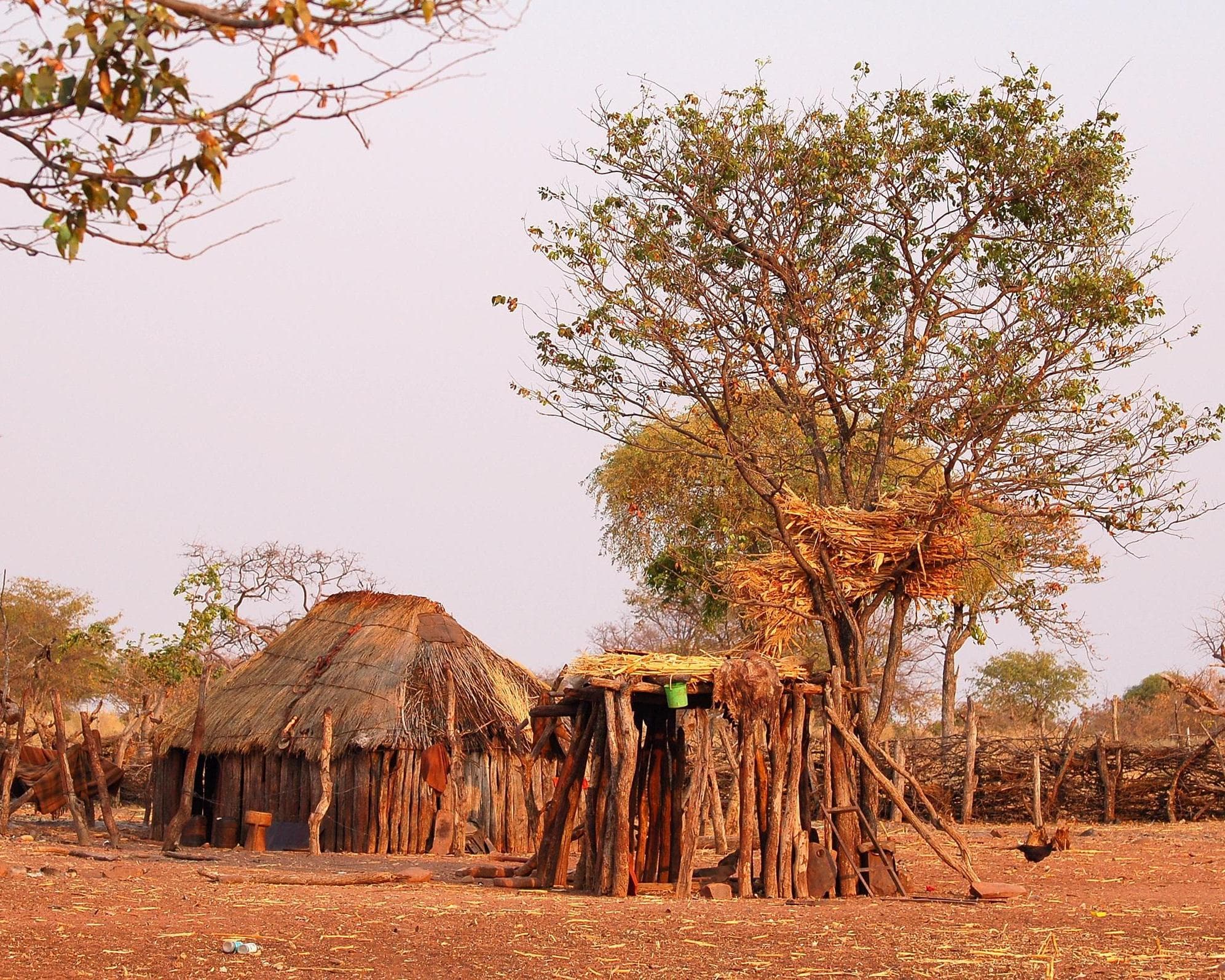 Encantos da Namíbia