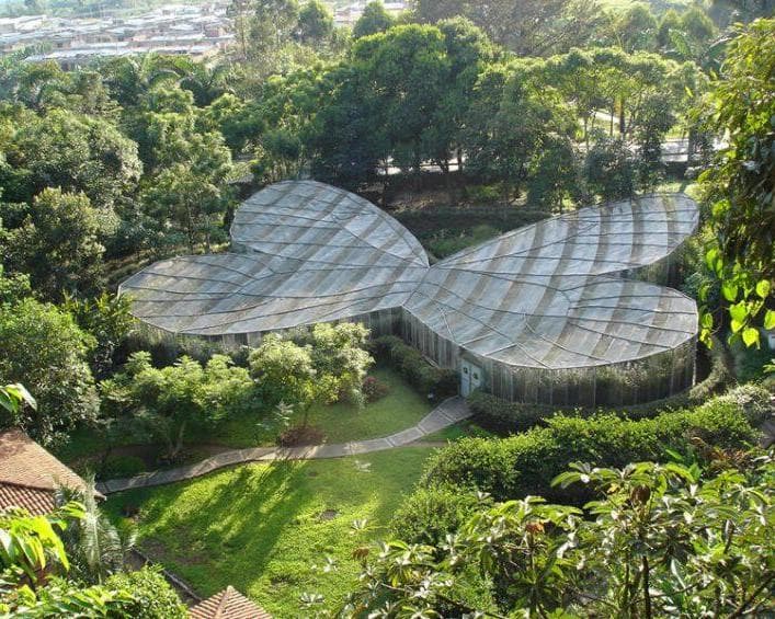 CLASSIC EJE CAFETERO 3N4D